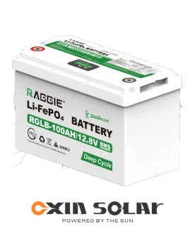 باتری لیتیوم 100 آمپر RAGGIE مدل RGLB-100AH12.8