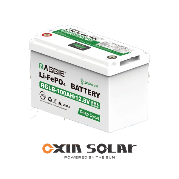 باتری لیتیوم 100 آمپر RAGGIE مدل RGLB-100AH12.8 باتری لیتیوم 100 آمپر RAGGIE مدل RGLB-100AH12.8