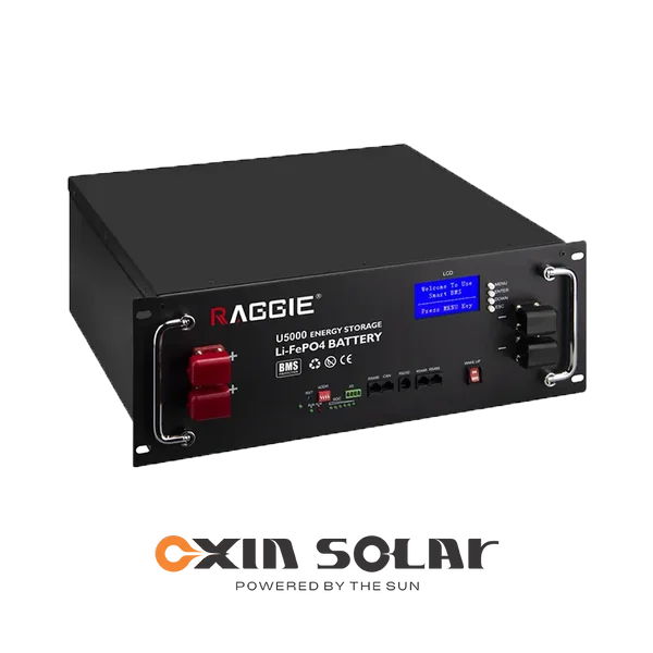 باتری لیتیومی 48 ولت 100 آمپر و 200 آمپر Raggie